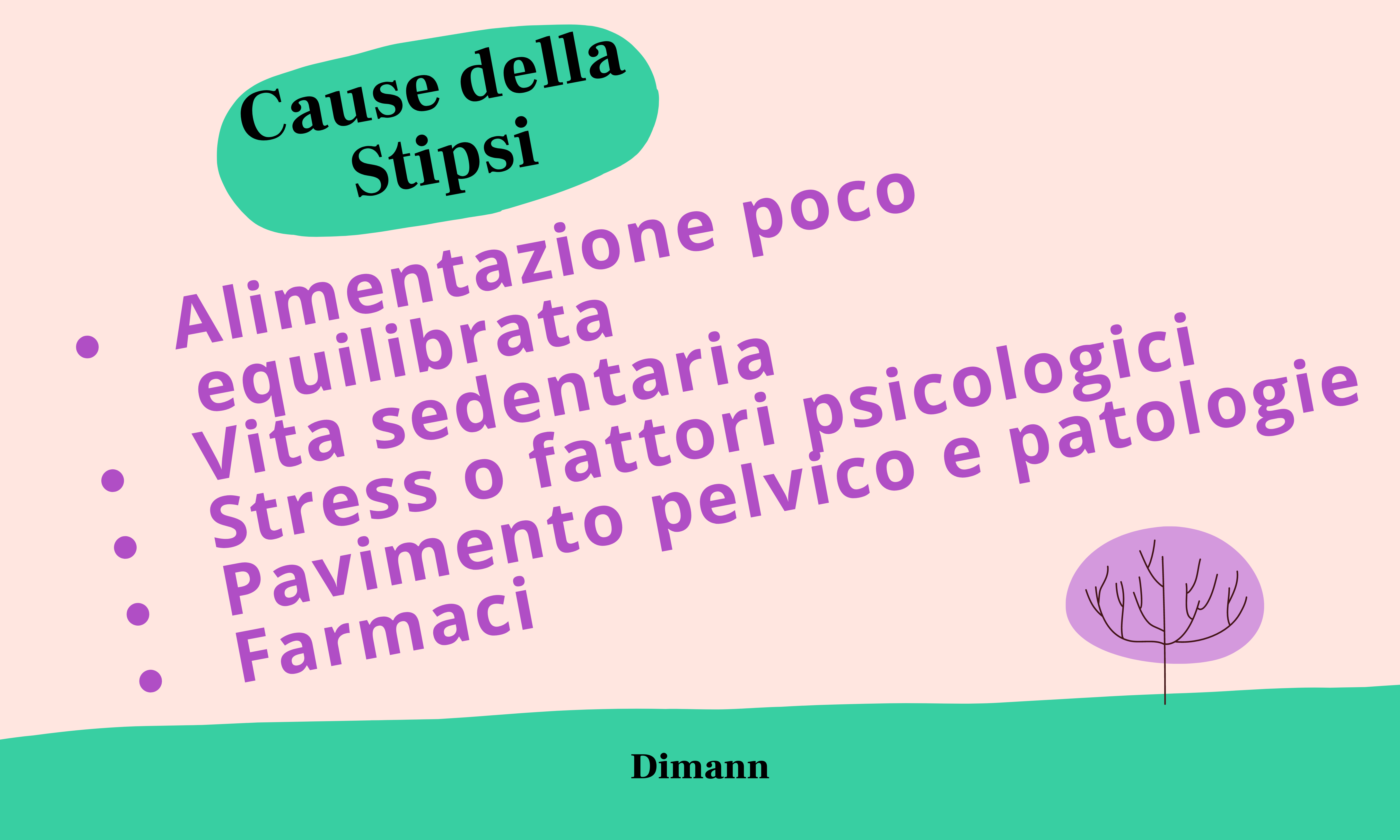La Stipsi | Dimann