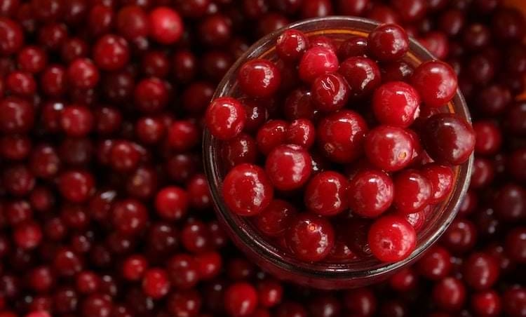 succo di mirtillo per la cistite | Dimann