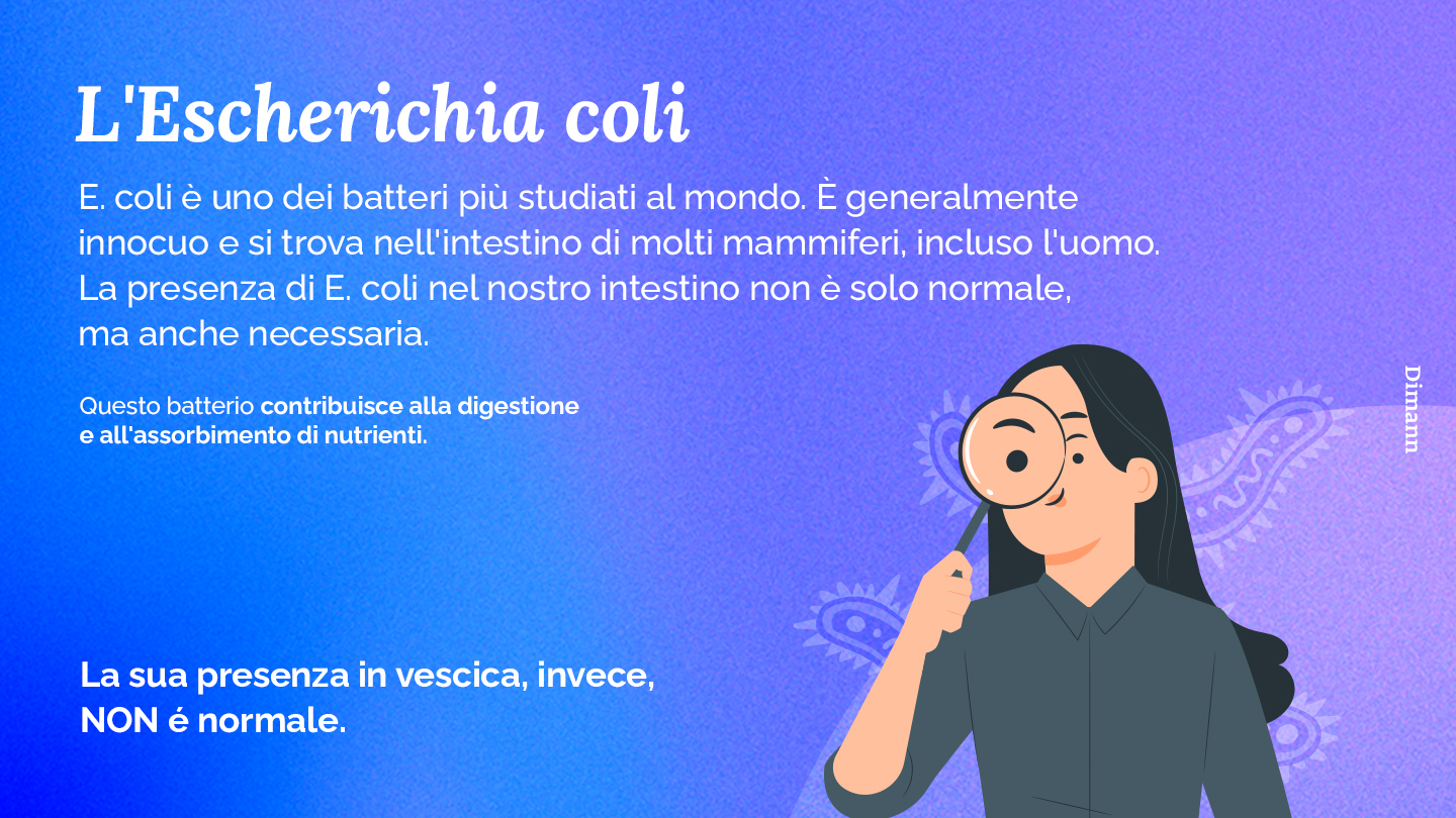 Capire l'Escherichia coli cosa c'è da sapere su questa comune infezione batterica | Dimann